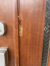 「玄関ドアのクロス破れを修理」についての画像