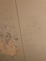 「天井の塗装をやりかえたい」についての画像