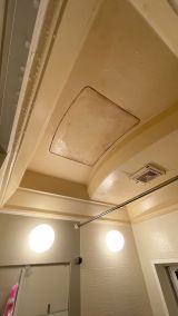 「ユニットバスの天井部分の塗装」についての画像
