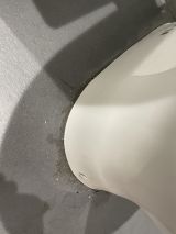 「トイレの水漏れ（便器と床の間から漏れている）」についての画像
