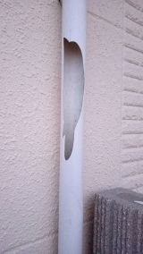 「壁穴と雨樋の修理」についての画像