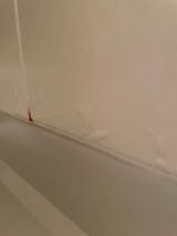 「浴室壁の膨らみ補修」についての画像