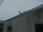 スレート屋根、カバー工法工事