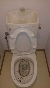 トイレの清掃＋汚れ防止コート【1箇所】