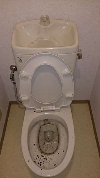 トイレ便器内の尿石確認（作業前）