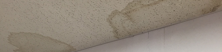 天井からの雨漏り修理費用