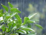 ゲリラ豪雨に備える4つの住宅対策