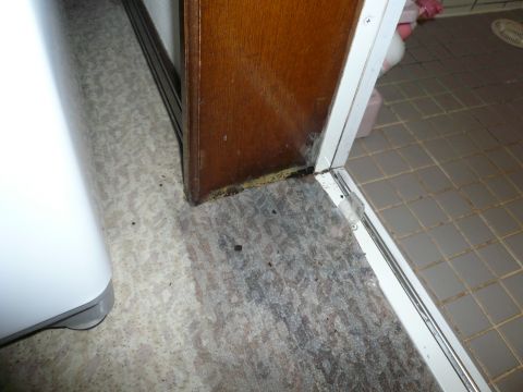 洗面所の床が腐った 洗面所の床を張替えるなら リフォームのことなら家仲間コム