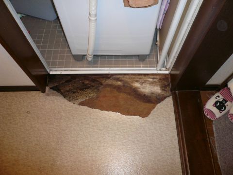 洗面所の床が腐った 洗面所の床を張替えるなら リフォームのことなら家仲間コム