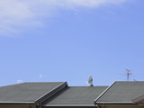 屋根葺き替えにおすすめの屋根材｜選び方のポイントも解説